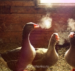 Аватарки. Наши интернет-лица - voshititelno-holodno-film-fotografiya-Favim-1.jpg