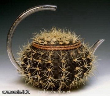 Самые необычные чайники. - 1.jpg