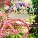 Аватарки. Наши интернет-лица - 1Ryvl8i_xTo.jpg