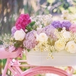 Аватарки. Наши интернет-лица - 1Ryvl8i_xTo-1.jpg