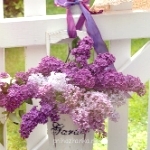 Аватарки. Наши интернет-лица - 1-TmgbYXiak-1.jpg