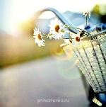 Аватарки. Наши интернет-лица - KHWK3aJvbgM.jpg