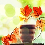 Аватарки. Наши интернет-лица - fcbcaa2f0c05.jpg