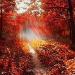 Аватарки. Наши интернет-лица - осень2.jpg