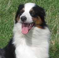 Кого из животных вы содержите? Фото приветствуется. - Копия IMG_2500.jpg