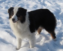 Кого из животных вы содержите? Фото приветствуется. - Лимассол 062.jpg