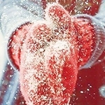 Аватарки. Наши интернет-лица - 0iUJKrleKG0.jpg