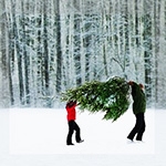 Аватарки. Наши интернет-лица - из леса вестимо...jpg