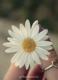 Аватарки. Наши интернет-лица - 8EK1UENbUDo.jpg