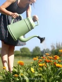 Аватарки. Наши интернет-лица - x_4G4-M4AyA.jpg