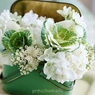 Аватарки. Наши интернет-лица - bl5NhT3Amuw.jpg