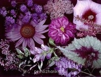 Аватарки. Наши интернет-лица - Cl1B9D1SHGo.jpg