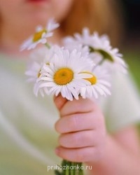 Аватарки. Наши интернет-лица - L0IwbRWTfrQ.jpg