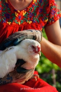 Аватарки. Наши интернет-лица - e3scjAuq35s.jpg