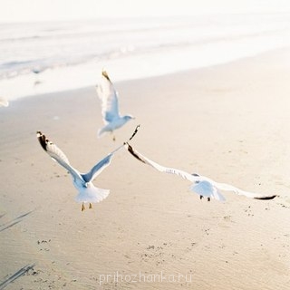 Аватарки. Наши интернет-лица - tDCrJXHKoDU.jpg