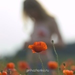 Аватарки. Наши интернет-лица - 1544092.jpg