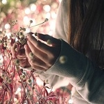 Аватарки. Наши интернет-лица - 198cc5237900a74ac5e08985fb3a2e69.jpg