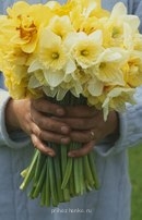 Аватарки. Наши интернет-лица - FRDLqzGm7rY.jpg