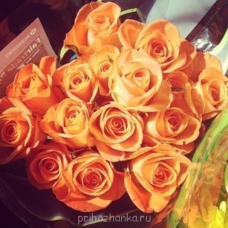 Аватарки. Наши интернет-лица - iVu-lb2m1vU.jpg