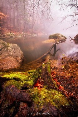 Аватарки. Наши интернет-лица - LooRwNvKcyc.jpg