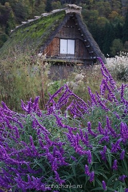 Аватарки. Наши интернет-лица - 5oNRUUn-qjo.jpg