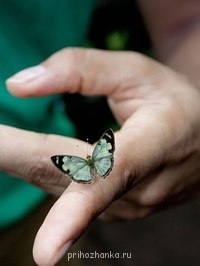 Аватарки. Наши интернет-лица - 1X4cbfwsNSg.jpg