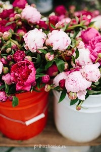 Аватарки. Наши интернет-лица - 3fXmqoZpOzM.jpg