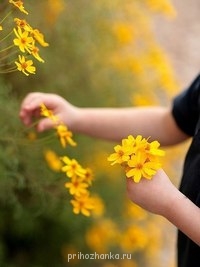 Аватарки. Наши интернет-лица - vshkanHDa5M.jpg