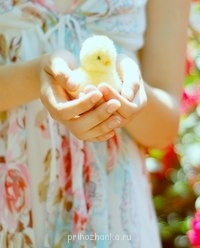 Аватарки. Наши интернет-лица - _Sw1JXHDjP0.jpg