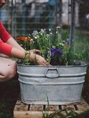 Аватарки. Наши интернет-лица - GTbD2gRcOwc.jpg