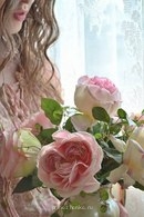 Аватарки. Наши интернет-лица - zn_7voDVqPM.jpg