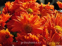 Аватарки. Наши интернет-лица - i (9).jpg