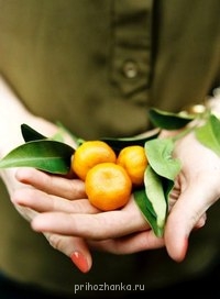 Аватарки. Наши интернет-лица - N-yoLxEYh3Y.jpg