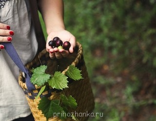 Аватарки. Наши интернет-лица - hq4RuGPlfxc.jpg