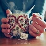 Аватарки. Наши интернет-лица - 1106178mjp_8912273_9100041.jpg