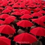 Аватарки. Наши интернет-лица - 292d8fa97a1c.jpg