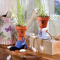 Мои комнатные растения. - f_4cdab228ed475.jpg