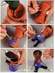 Мои комнатные растения. - chelovek2-228x300.jpg