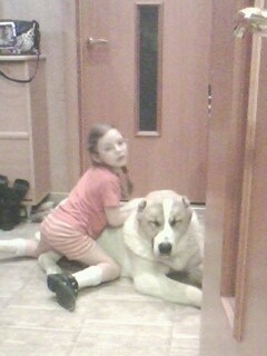 Клуб кинологов-любителей - image.jpg