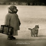 Аватарки. Наши интернет-лица - 1568147-150x150.jpg