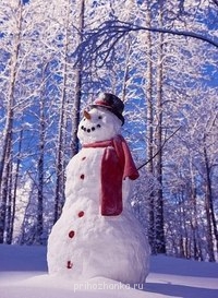 Аватарки. Наши интернет-лица - YjPyDRPq8bM.jpg