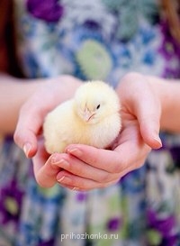 Аватарки. Наши интернет-лица - GYnvLNtulLw.jpg