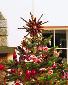 звезда из шишек - 15136401H83343.jpg