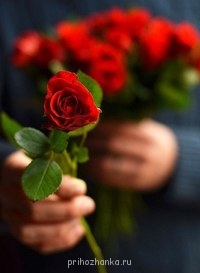 Аватарки. Наши интернет-лица - 5MvOuQMozs4.jpg