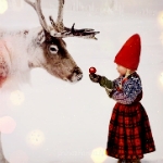 Аватарки. Наши интернет-лица - 6KSup7D1xkA.jpg