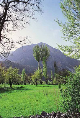 Особенности жизни в Средней Азии. - горы Шахимардана.jpg