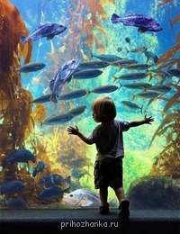 Аватарки. Наши интернет-лица - R50XgWwCjBE.jpg