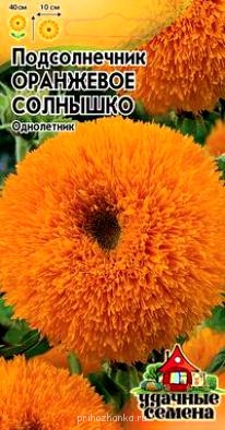 Чем сегодня занимались- 2 - 2410556.jpg