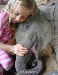 Аватарки. Наши интернет-лица - u3hvK0T7r34.jpg