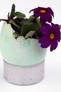 Идеи к Пасхе Как украсить праздник. - 2352866063_4a645e6270.jpg